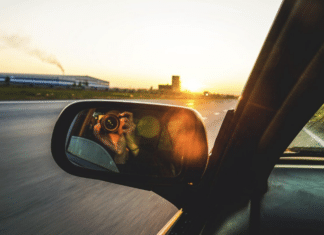 Schule aus, ab in den Urlaub: Unfallrisiko, Promillegrenzen und Strafen – das gilt es im Ausland zu beachten