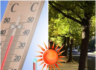 Lokale Hitzebelastung steigt: Mehr Grün und Schatten als Schlüsselmaßnahmen