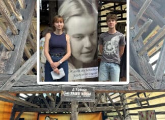 Eine Matinee für Geist und Seele: Das 3. Gailtaler Literaturfrühstück im GailtalMuseum Schloss Möderndorf