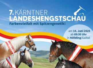 Einladung zur Kärntner Hengstschau 2025 in Nölbling