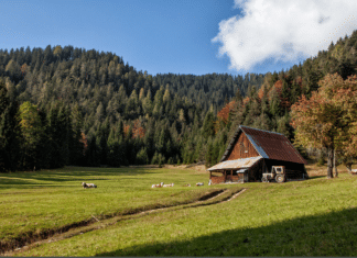 9. Grenzüberschreitende Begegnung auf der Uggowitzer Alm