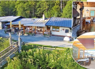 Wir l(i)eben F(R)ISCHE