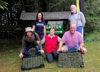 Gezielte Wiederbegrünung am Dobratsch: Erste Maßnahmen gegen Erosion zeigen Wirkung