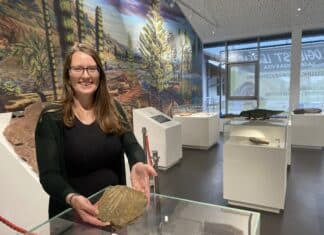 Seltener Fossilienfund am Zollner See