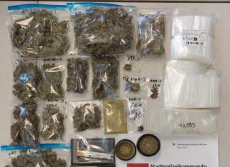 Suchtmittelhandel in Villach: Cobra-Einsatz führt zu Festnahmen und Sicherstellung von über drei Kilogramm Cannabiskraut