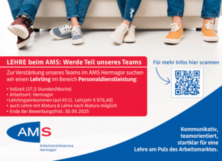 AMS Hermagor sucht einen Lehrling im Bereich Personaldienstleistung
