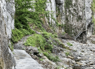 Naturerlebnis Mauthner Klamm: Seit Anfang Juli wieder geöffnet!