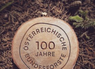 In der Zukunft verwurzelt – Einblicke in 100 Jahre Bundesforste