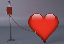 Blutspenden im Oktober 2025