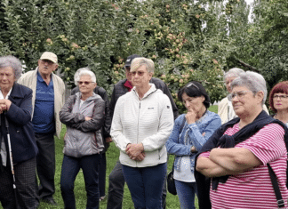 Die Wertschacher Pensionisten unterwegs: Auf kulinarischer Genussreise ins Apfelparadies!