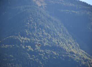 Flucht nach Verkehrskontrolle: Illegaler Mann in Kirchbach gesucht