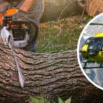 Forstunfall in Dellach/Gail: 30-Jähriger von Baumstamm getroffen – Rettungshubschrauber im Einsatz