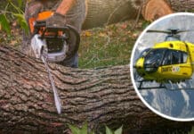 Forstunfall in Dellach/Gail: 30-Jähriger von Baumstamm getroffen – Rettungshubschrauber im Einsatz