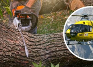 Forstunfall in Dellach/Gail: 30-Jähriger von Baumstamm getroffen – Rettungshubschrauber im Einsatz