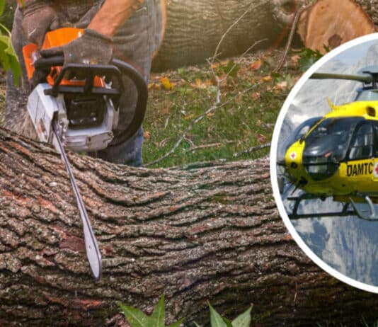 Forstunfall in Dellach/Gail: 30-Jähriger von Baumstamm getroffen – Rettungshubschrauber im Einsatz