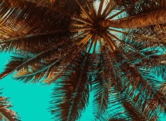 Trend zu mehr Kurzurlauben führt auch zu mehr Verkehr