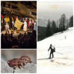 Fakt oder Fake – Lüge oder Wahrheit II