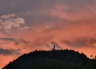 „9 Plätze – 9 Schätze“: Wer hat das Rennen in Kärnten gemacht?