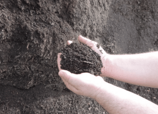 Natürlicher Dünger für deinen Garten: Jetzt bei der Herbst-Kompost-Aktion der Stadtgemeinde Hermagor-Pressegger See zugreifen!