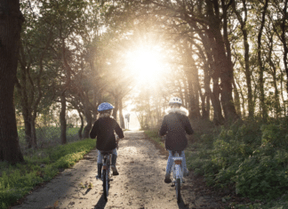 Gute Nachrichten für Radfahrer:innen: Zwei Kilometer Schotterweg bei Nampolach werden asphaltiert