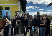 Zukunft der Rinderzucht: Große Begeisterung bei den Bambinitagen der Kärntner Jungzüchter