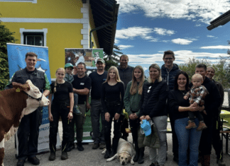 Zukunft der Rinderzucht: Große Begeisterung bei den Bambinitagen der Kärntner Jungzüchter