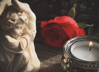 Florale Trends zu Allerheiligen: Blumige Zeichen der Liebe und Erinnerung