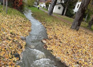 Erfreuliche Nachrichten: Endlich fließt der Mühlbach wieder!
