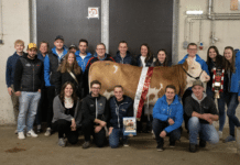 Die Halle bebte: Jungzüchterevent in Lienz begeistert Teilnehmer und Publikum!