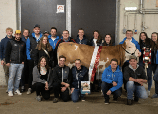 Die Halle bebte: Jungzüchterevent in Lienz begeistert Teilnehmer und Publikum!