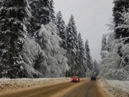 Mit dem ersten Schnee steigt die Gefahr: Achtung, Bremsweg auf Schneefahrbahn vervielfacht sich!