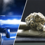 Polizeieinsatz nach Bürgerhinweis: Indoor-Cannabisplantage in Spittal/Drau sichergestellt