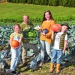 Das Weihnachts- und Winterkisterl vom Hof Kunz: Frische Vitamine für die kalte Jahreszeit!