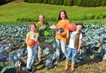 Das Weihnachts- und Winterkisterl vom Hof Kunz: Frische Vitamine für die kalte Jahreszeit!