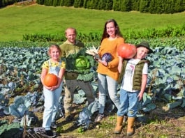 Das Weihnachts- und Winterkisterl vom Hof Kunz: Frische Vitamine für die kalte Jahreszeit!