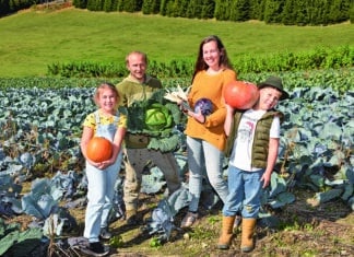 Das Weihnachts- und Winterkisterl vom Hof Kunz: Frische Vitamine für die kalte Jahreszeit!