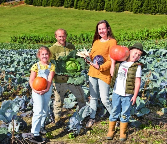 Das Weihnachts- und Winterkisterl vom Hof Kunz: Frische Vitamine für die kalte Jahreszeit!