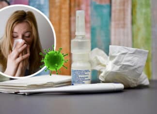 Krankmeldungen nehmen zu: Die Grippewelle hat auch Kärnten eingeholt