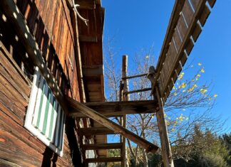 Sturz von Balkon – Zwei Frauen verletzt