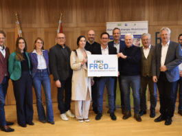 Bidirektionales Laden & Carsharing: Erster Testbetrieb im Bezirk Hermagor geplant!