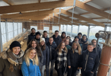 Jungzüchter Christmas Party: Stallluft, Rennfieber und gemütlicher Jahresausklang