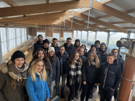 Jungzüchter Christmas Party: Stallluft, Rennfieber und gemütlicher Jahresausklang