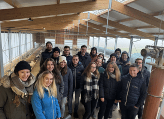 Jungzüchter Christmas Party: Stallluft, Rennfieber und gemütlicher Jahresausklang