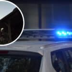 Einbruch in Maschinenhalle: Täter stehlen Zapfwellen im Wert von mehreren tausend Euro im Bezirk Hermagor