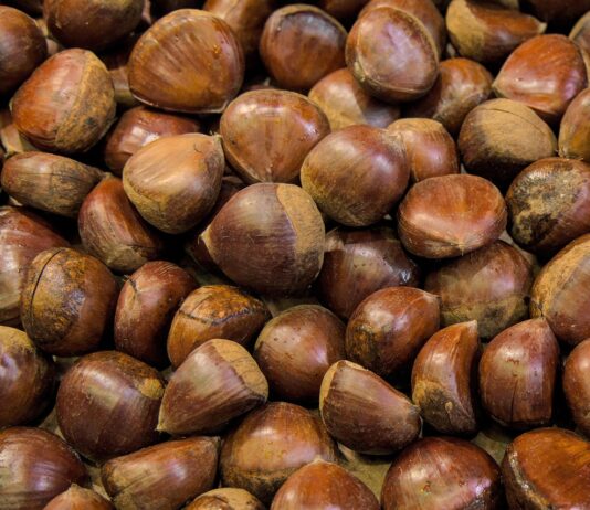 Maroni und Esskastanien im AK-Test: Vier Proben als ungenießbar eingestuft