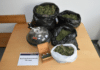 Drogenrazzia in der Gemeinde: 4,5 Kilogramm Cannabis bei Ehepaar mit Kleinkindern sichergestellt!