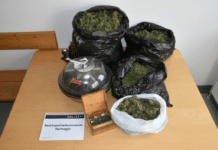 Drogenrazzia in der Gemeinde: 4,5 Kilogramm Cannabis bei Ehepaar mit Kleinkindern sichergestellt!