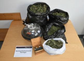 Drogenrazzia in der Gemeinde: 4,5 Kilogramm Cannabis bei Ehepaar mit Kleinkindern sichergestellt!