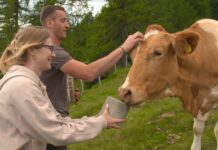 „Bauer sucht Frau“: Drautaler Manuel sorgt für Romantik und Herzklopfen bei seinen Hofdamen