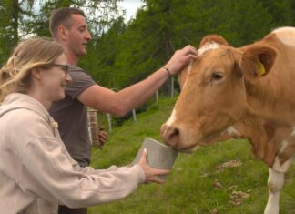 „Bauer sucht Frau“: Drautaler Manuel sorgt für Romantik und Herzklopfen bei seinen Hofdamen